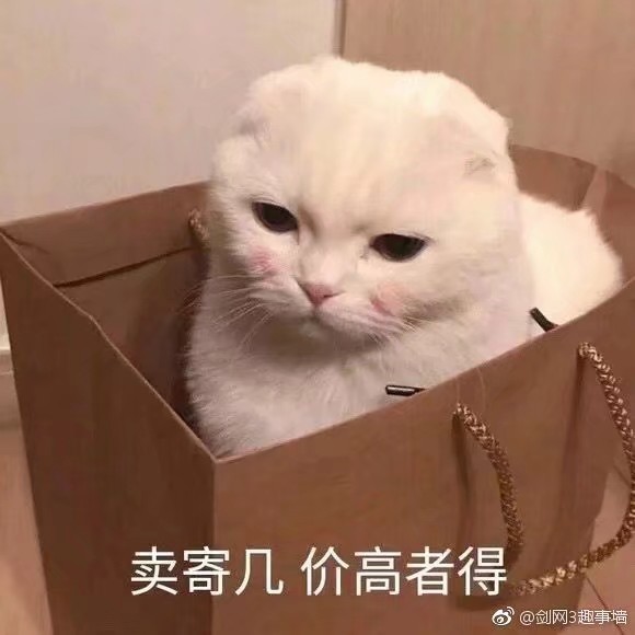 小可爱表情包
