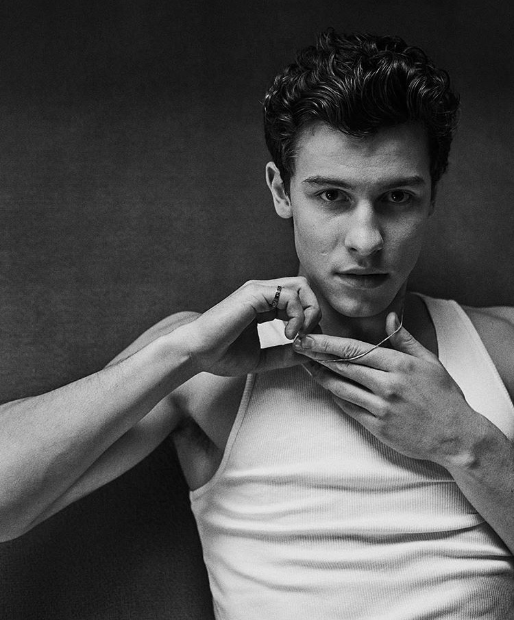 shawn mendes