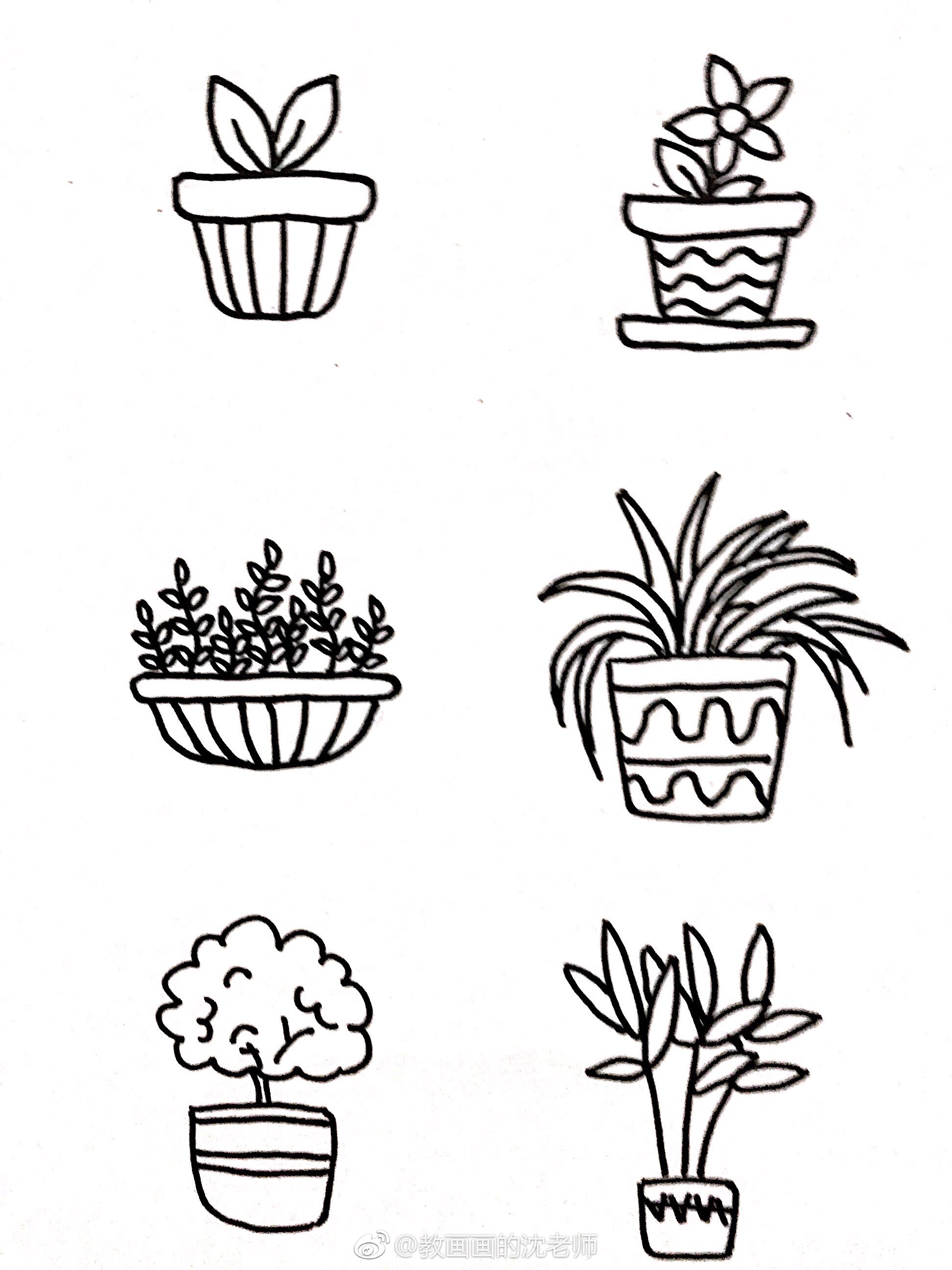 手绘植物简笔画组合图片