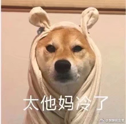 表情包#可爱