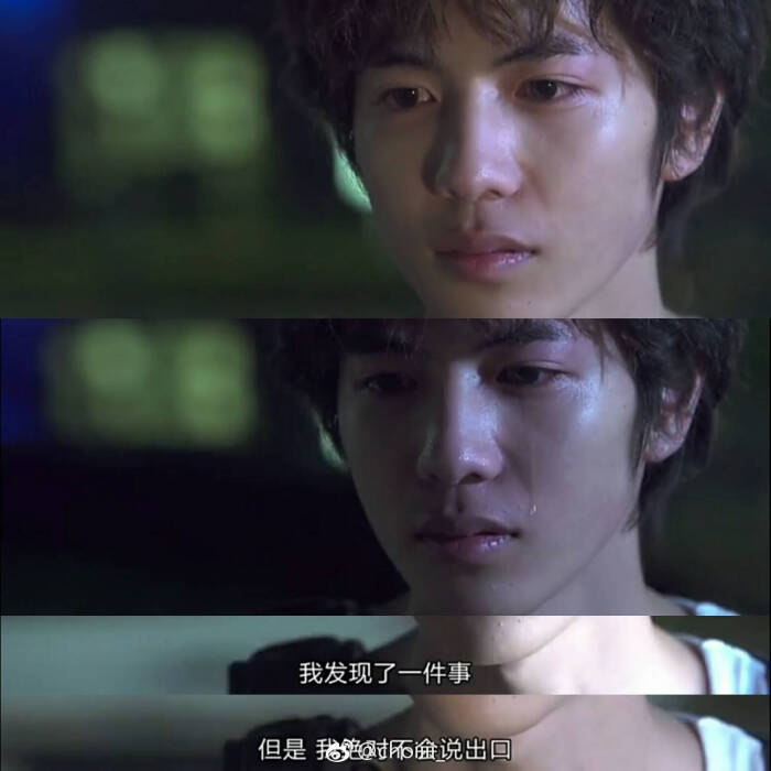 宠物情人