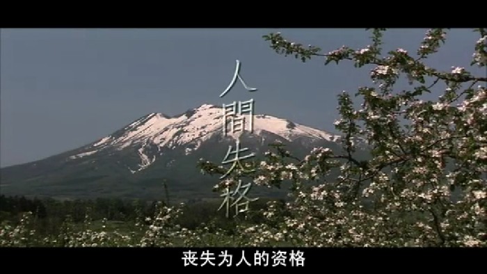 失格人间改编电影太宰治《小说韩国》日本电影动作v人间图片