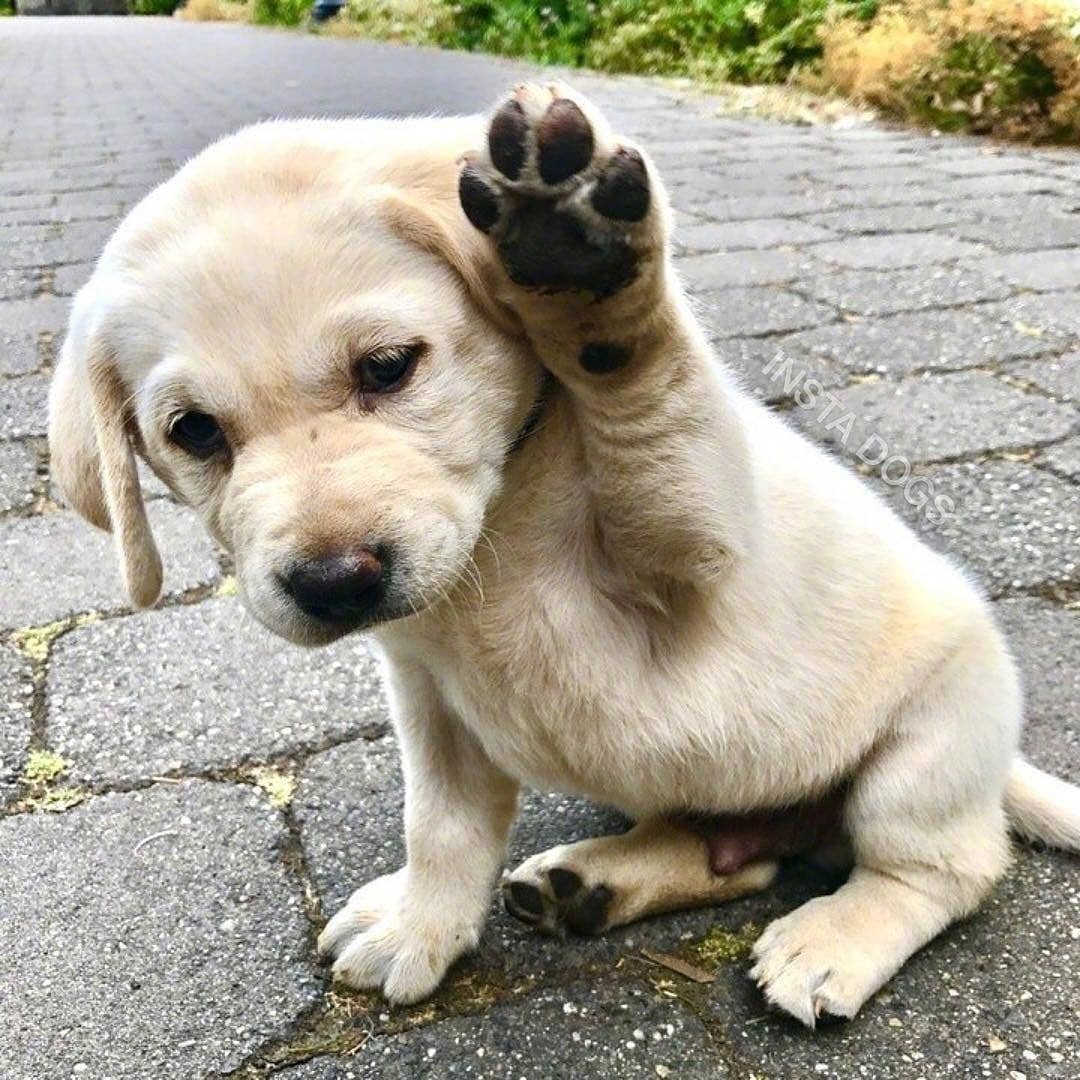 give me five图片,give me five壁纸 give me five!