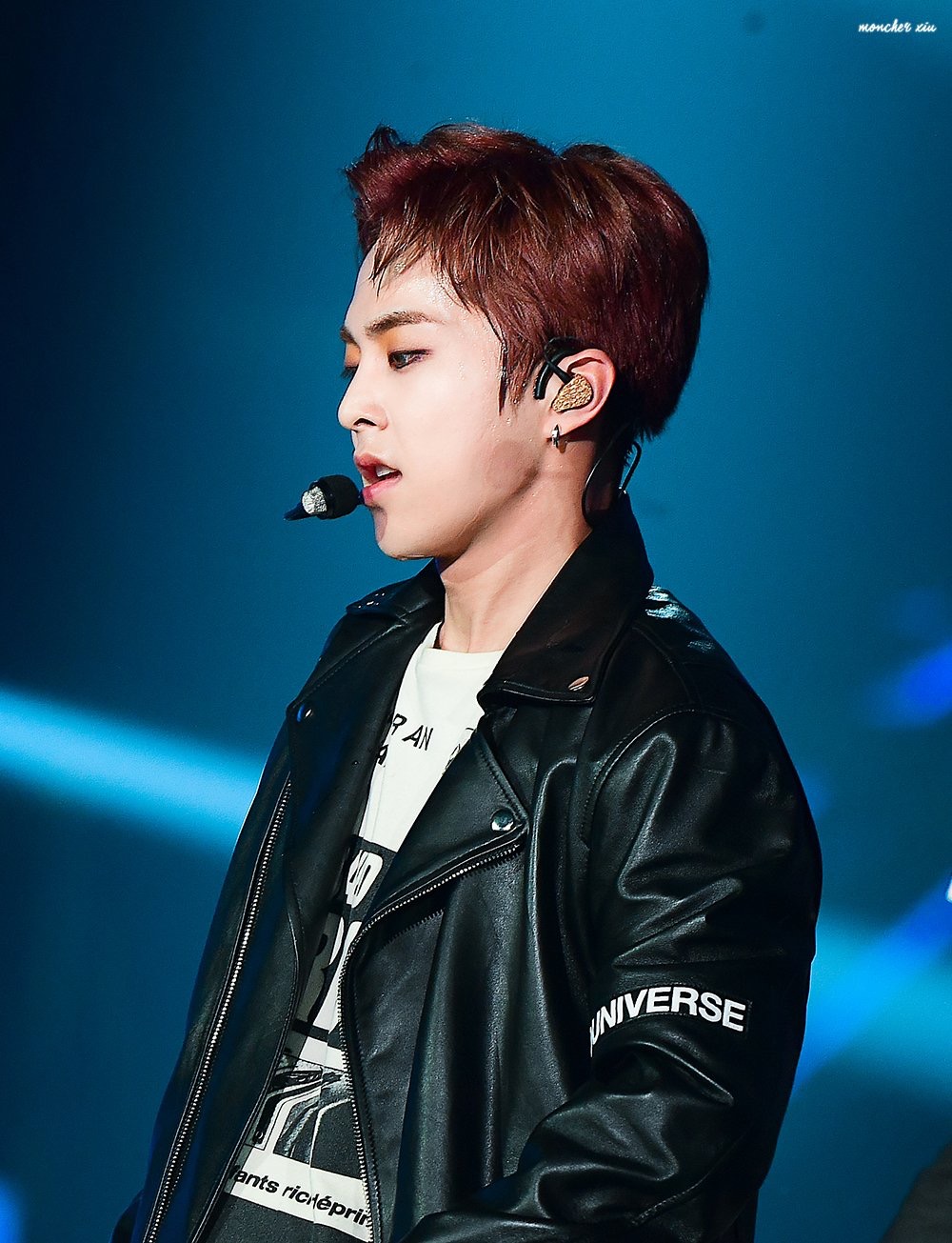 xiumin 金珉锡