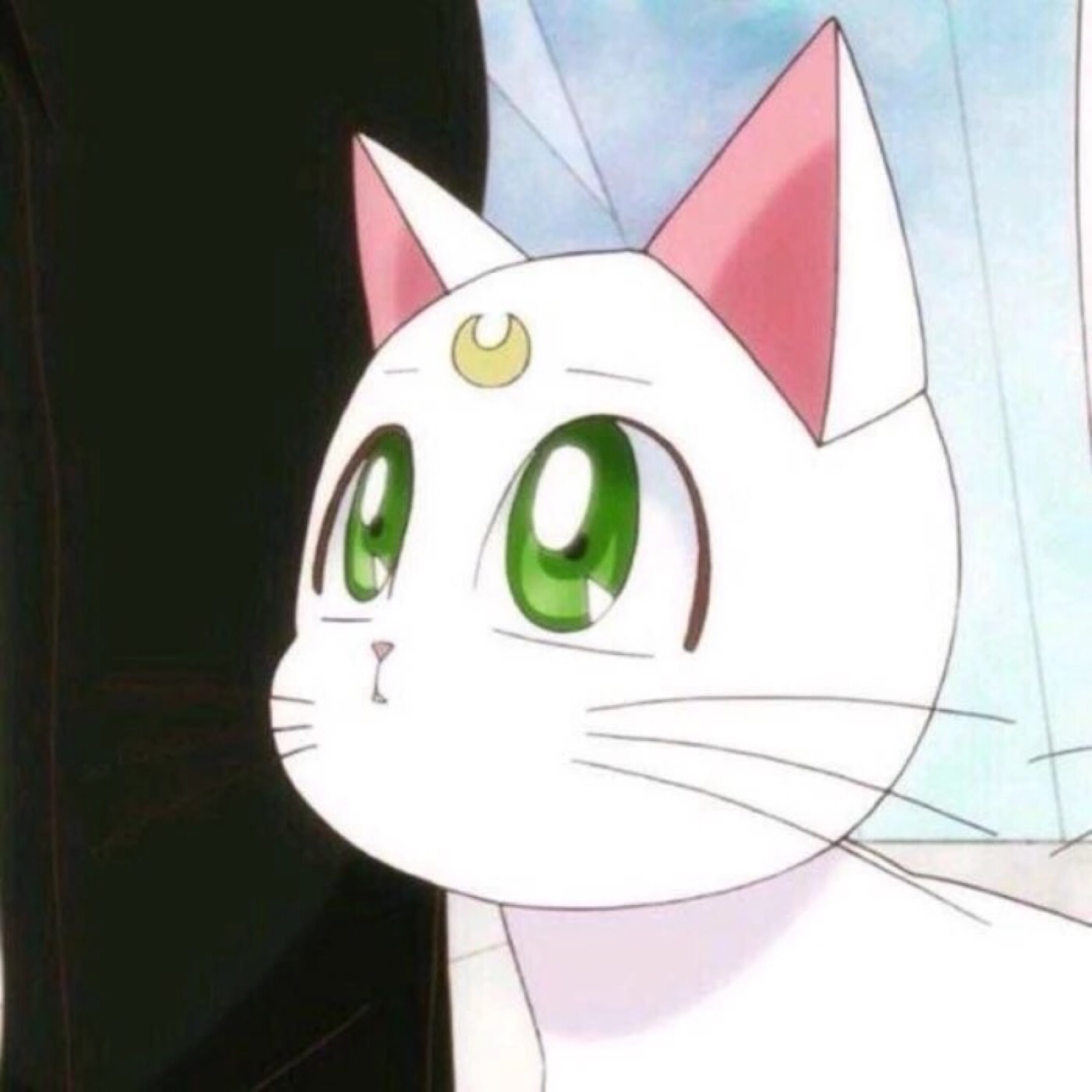 水冰月情头