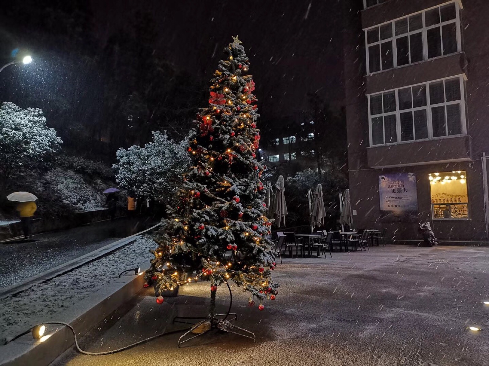 学校装扮的圣诞树 刚好下雪啦