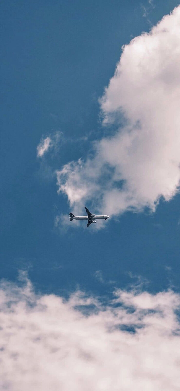 700_1517竖版 竖屏