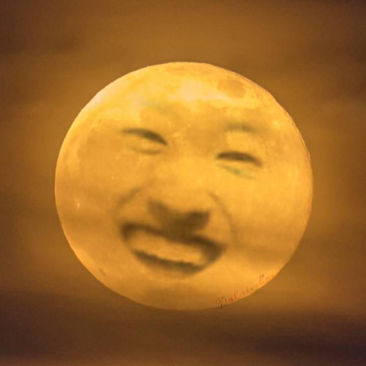 suju表情包