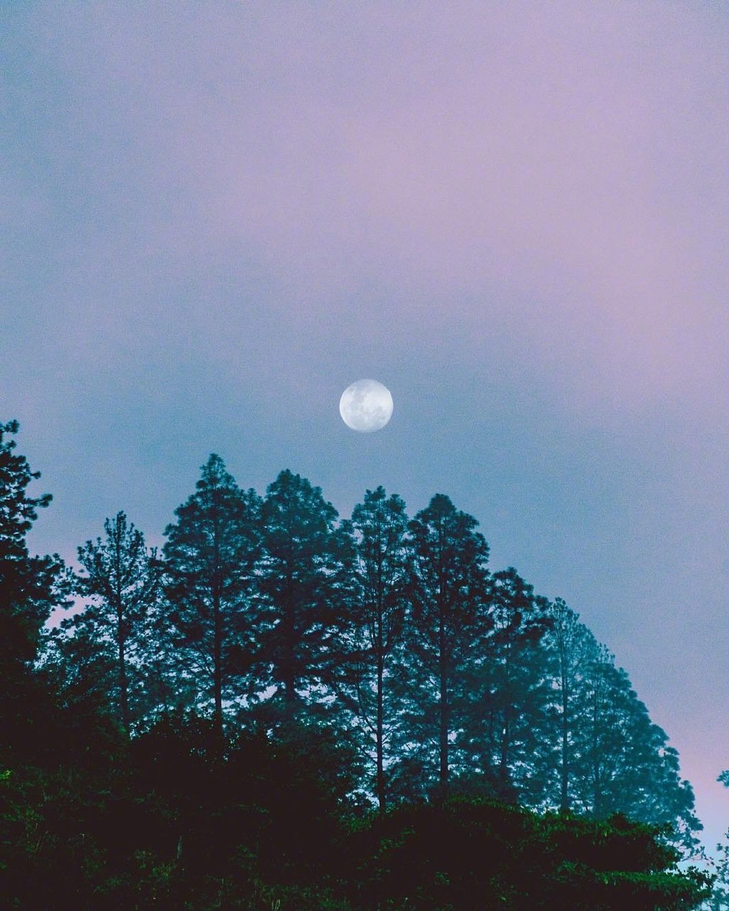 海上生明月,天涯共此时.