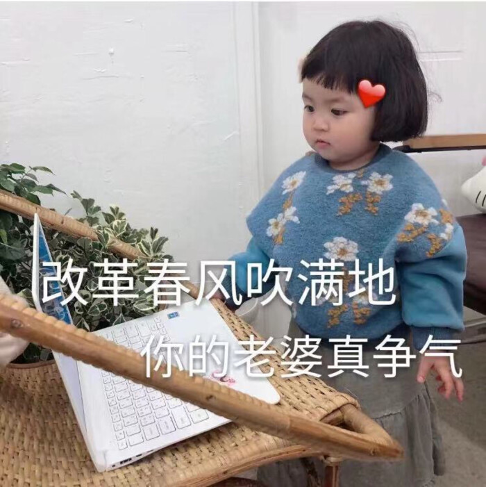 各种可爱甜甜的表情群(看我堆糖名马犬动画包表情图片