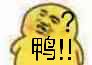 动漫版小黄鸭,搞笑表情网贝塔结表情包图片
