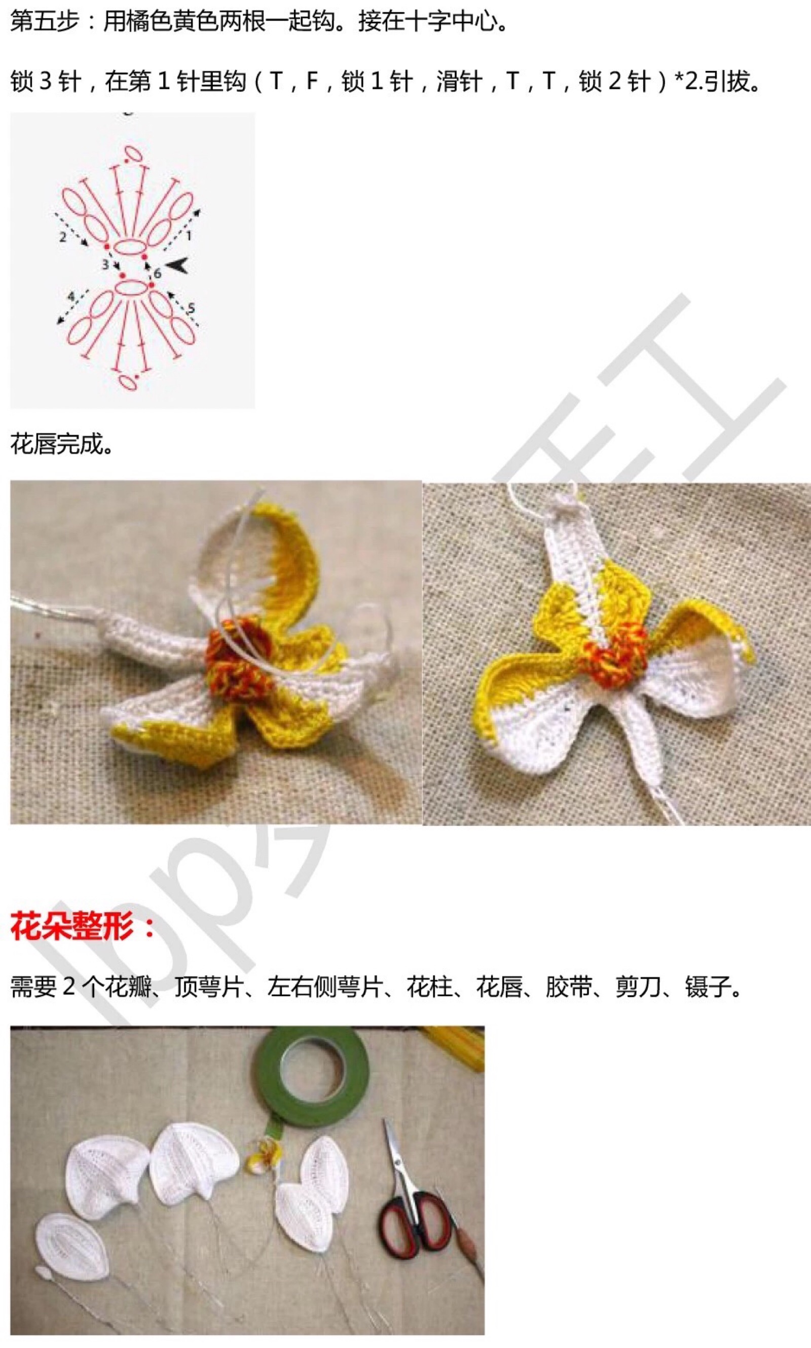 毛线蝴蝶兰盆景的钩法图片