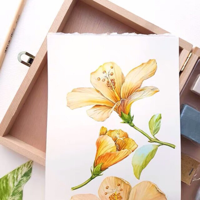 水彩水果与花卉