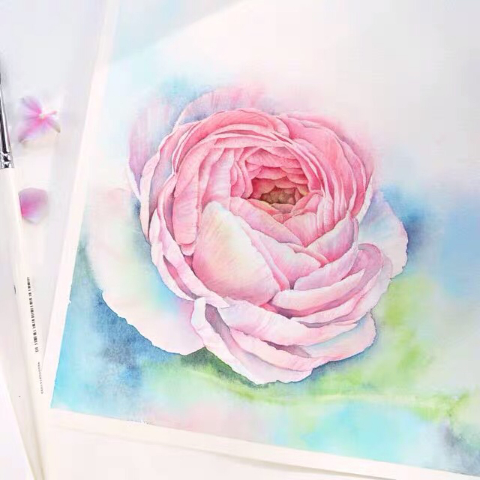 水彩水果与花卉