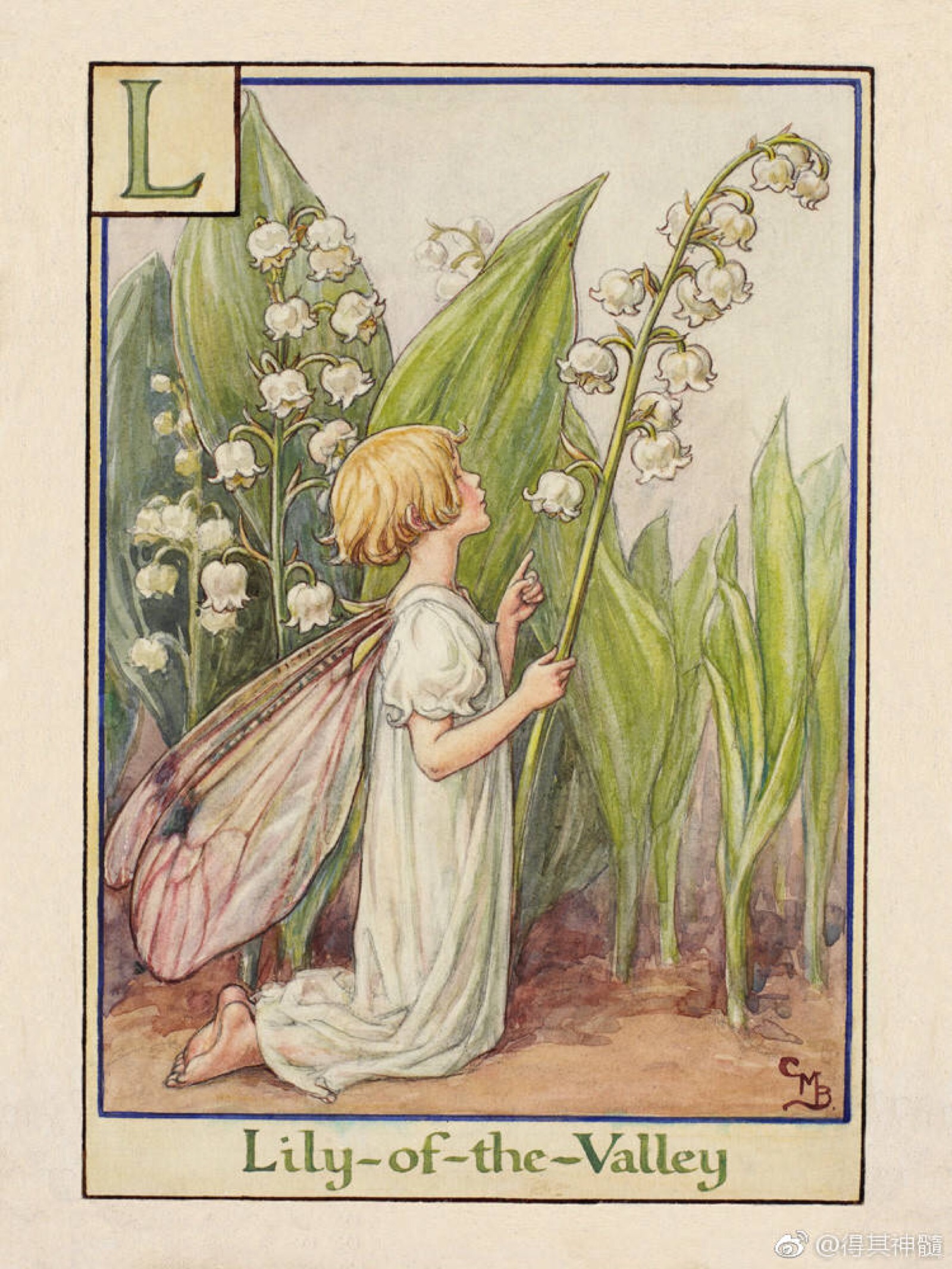 英国插画家cicely mary barker笔下的花仙子