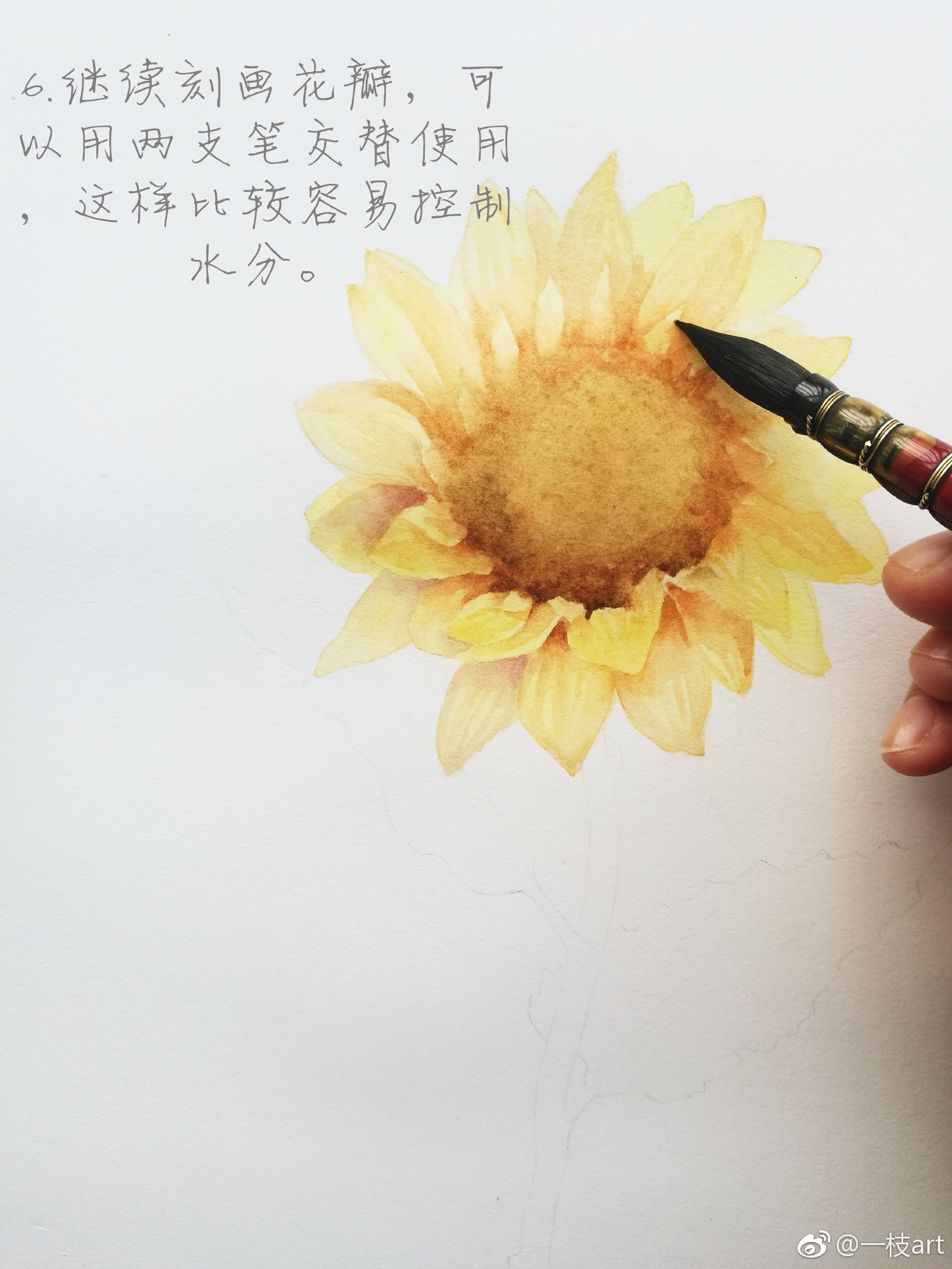 分享一朵向日葵的过程图 