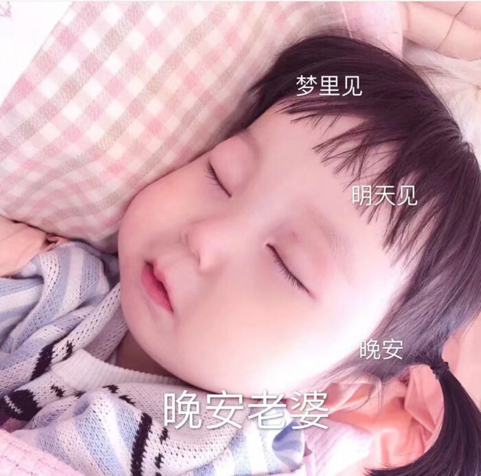各种各样的表情群猪滚的表情图片动态图片
