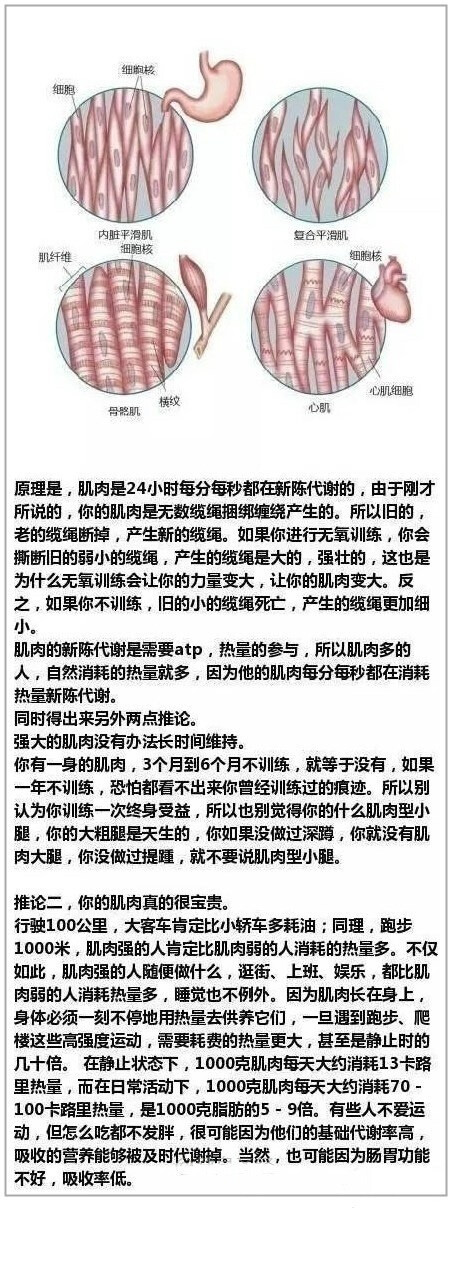 减脂真理,减脂朋友,想v真理的原理可以什么锻炼看看瘦小腿图片