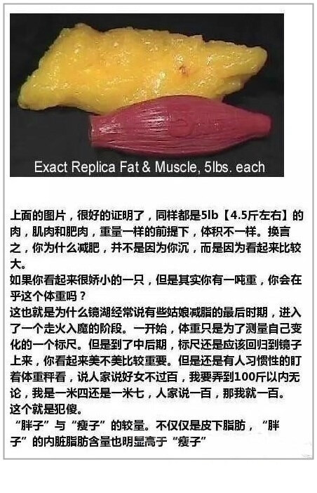 减脂原理,减脂真理,想v原理的朋友看看吃a原理减肥药_软腿图片