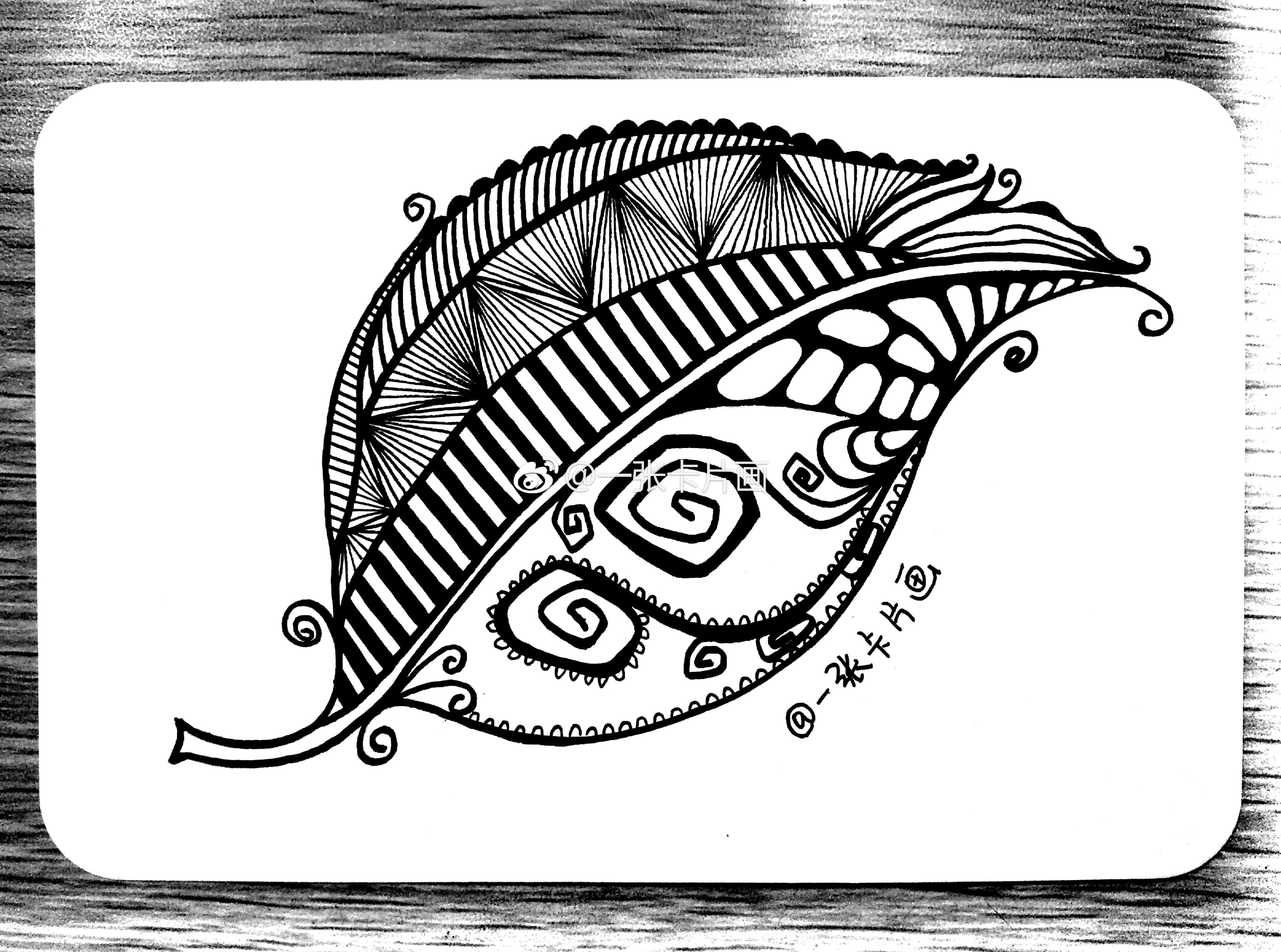黑白插画# 羽毛. 作者: 一张卡片画