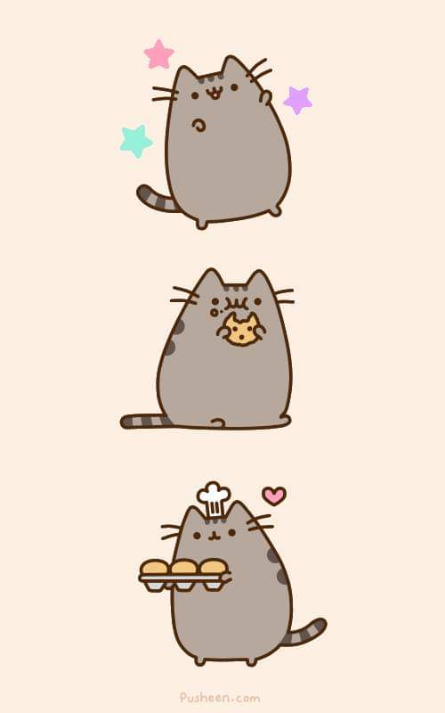 pusheen cat