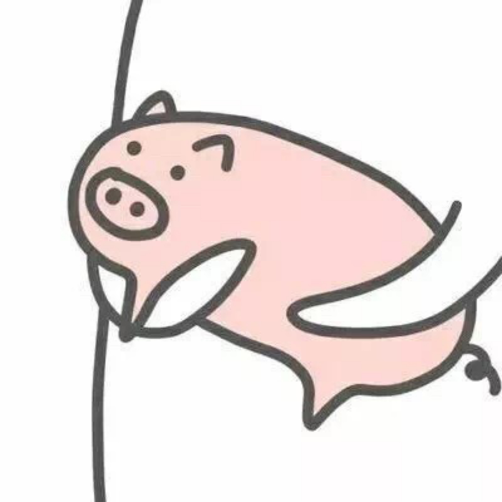 可爱猪图片_动漫卡通_插画绘画-图行天下素材网