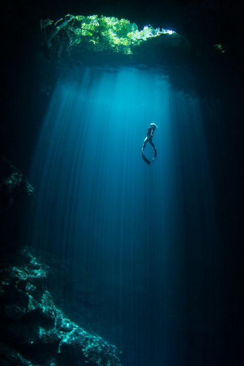 深海唯美意境图片图片