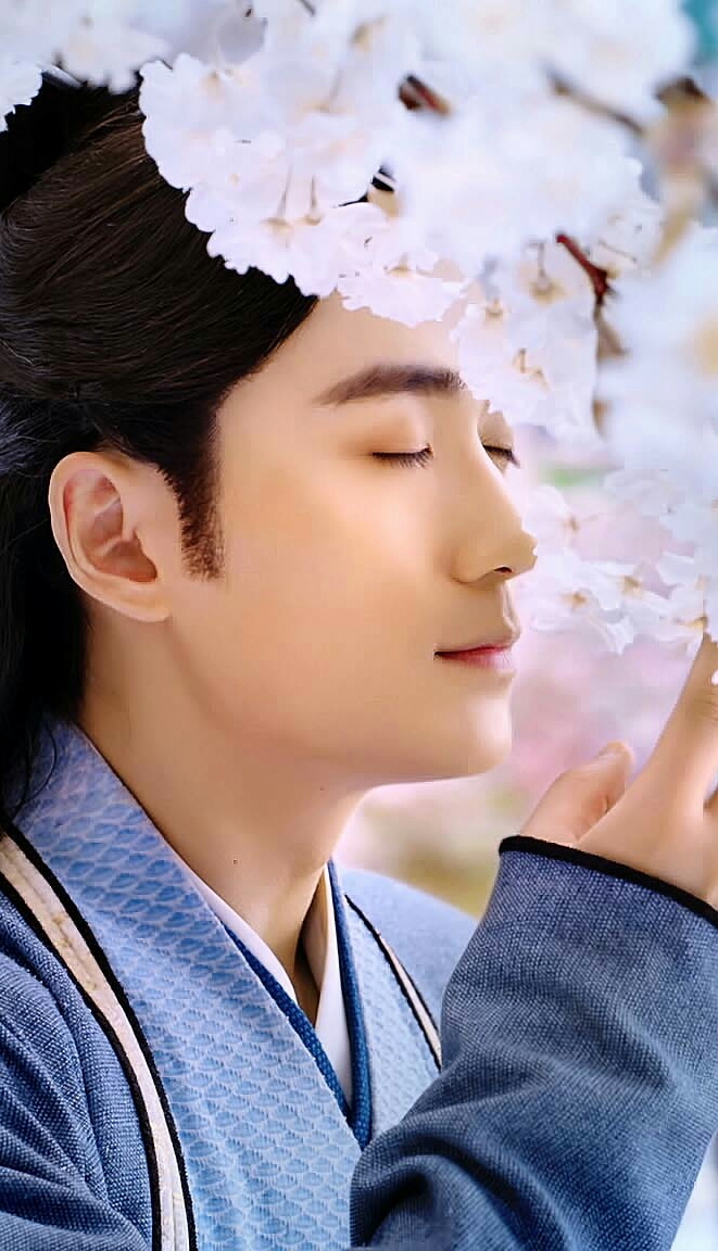 朱一龙 花无谢