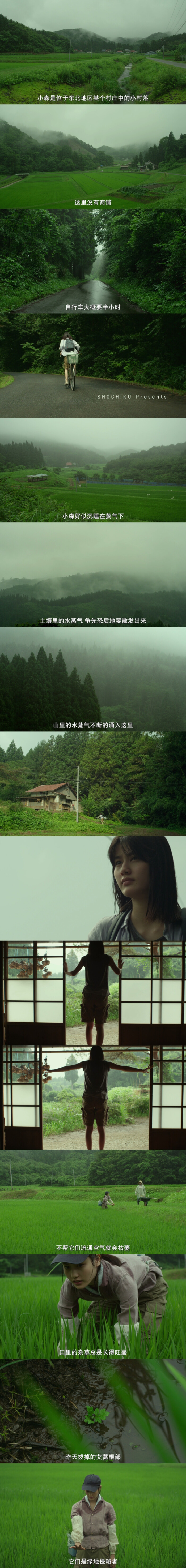 日本纪录片小森林图片