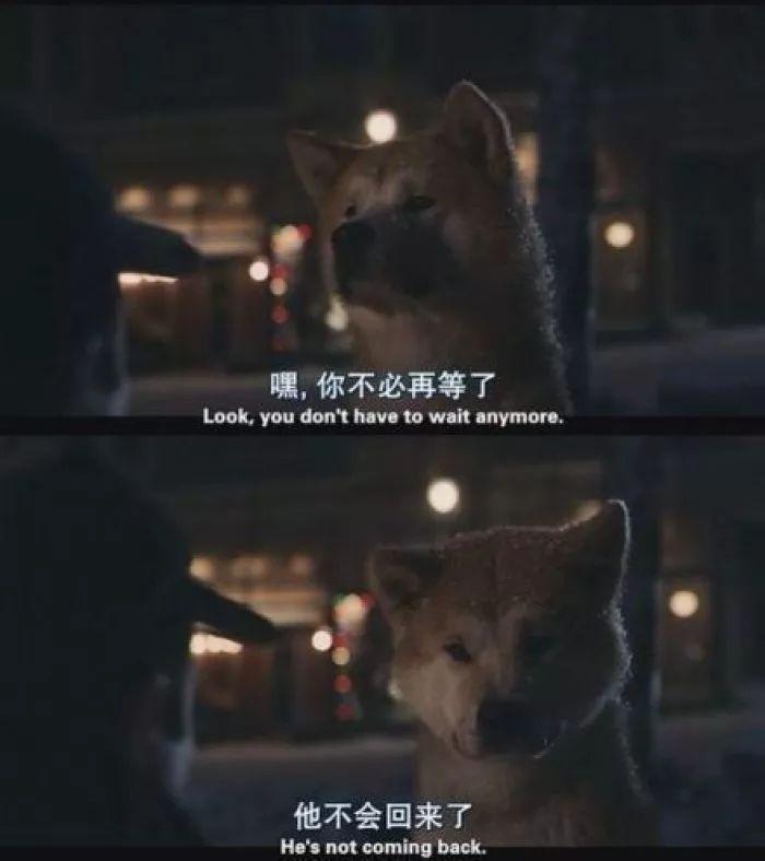 文字 电影台词 太阳太远了,否则我要埋在那里.