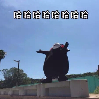 熊本熊 表情包