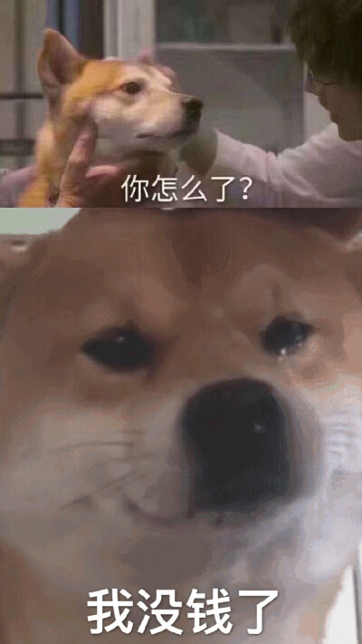 表情包#绘圈#沙雕