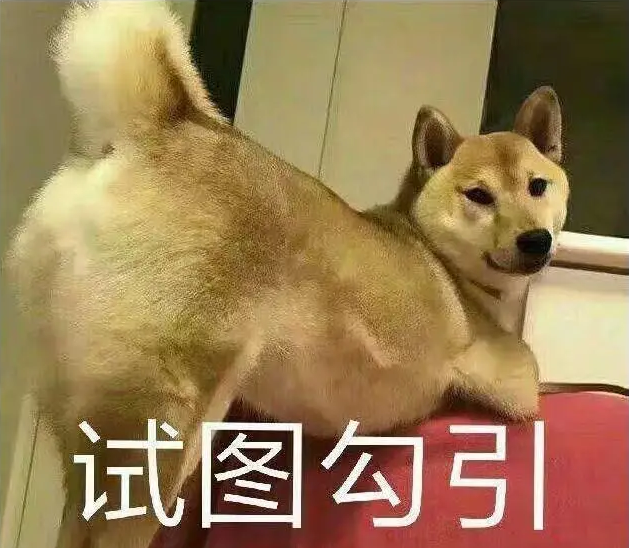 小可爱表情秋衣红表情包图片