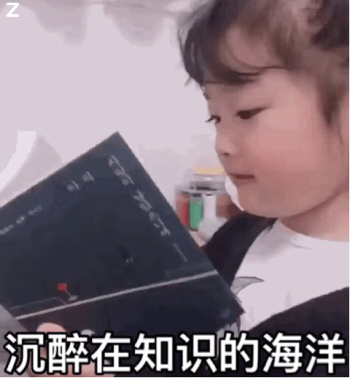 权律二表情@废可爱紫霞表情包搞笑图片