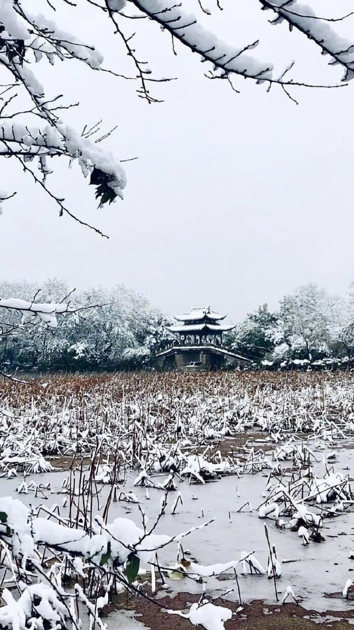 却不得不坚持前行.因为它的尽头,"种着"梦想.