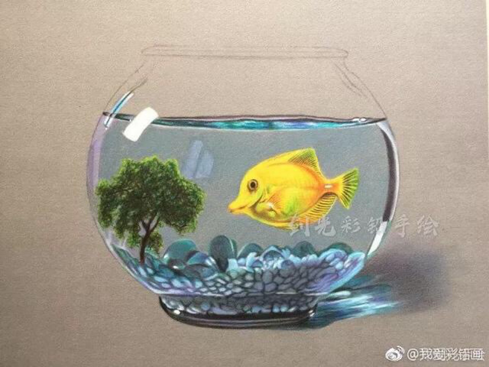 鱼缸的画法素描图片图片
