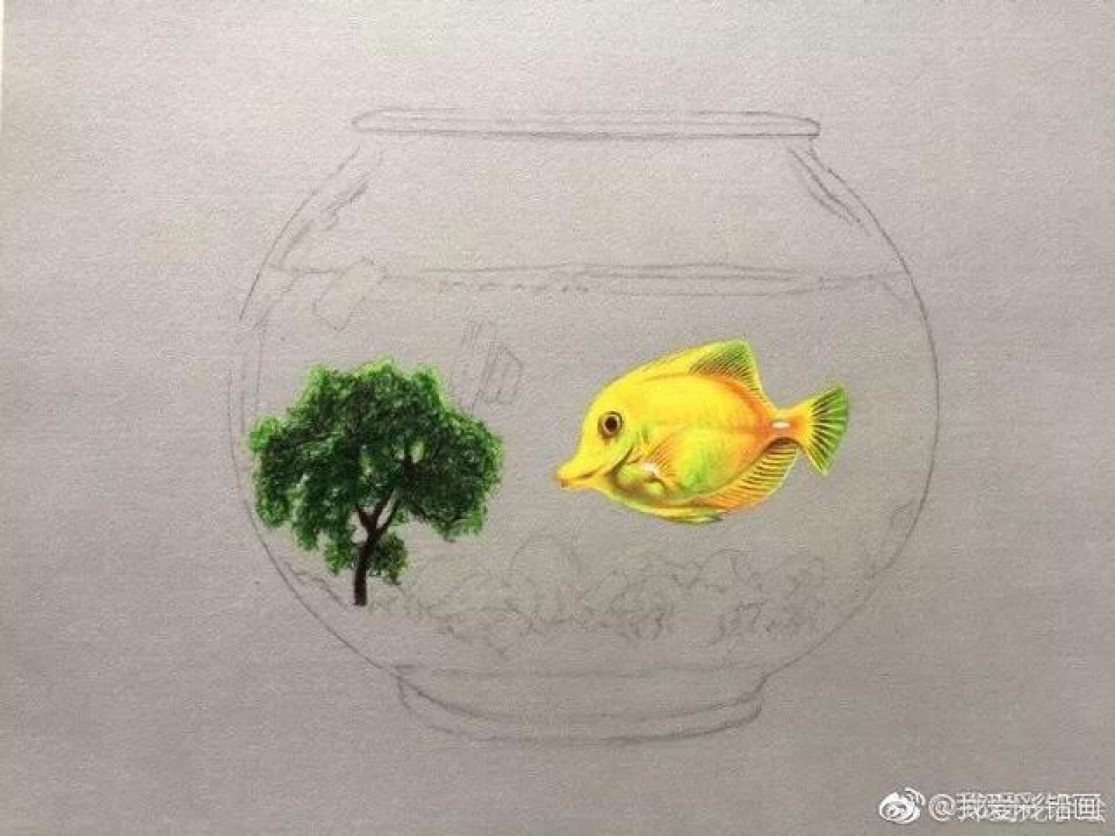 透明鱼缸素描图片