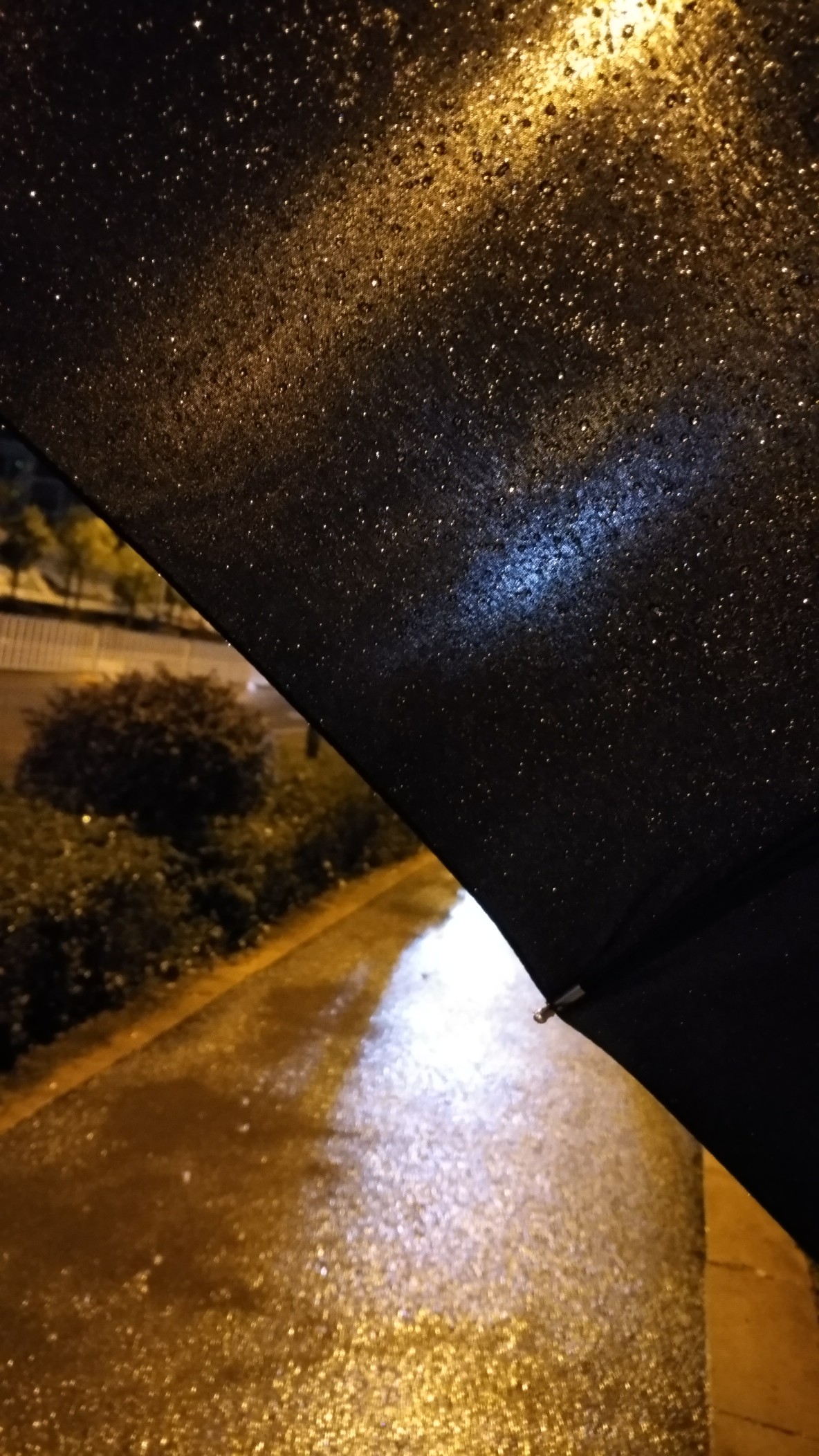 昆明夜晚下雨图片图片