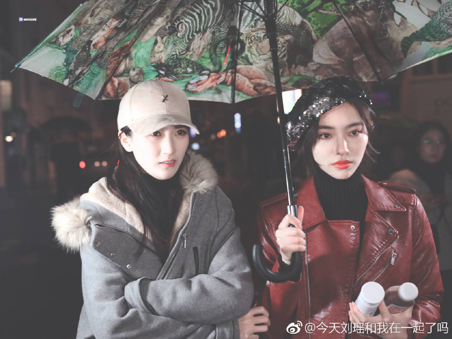 snh48七五折