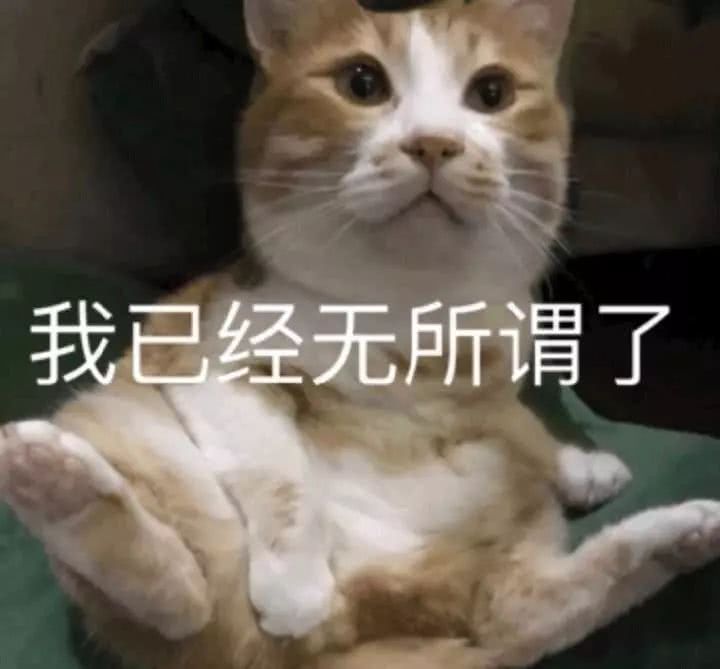 沙雕表情包