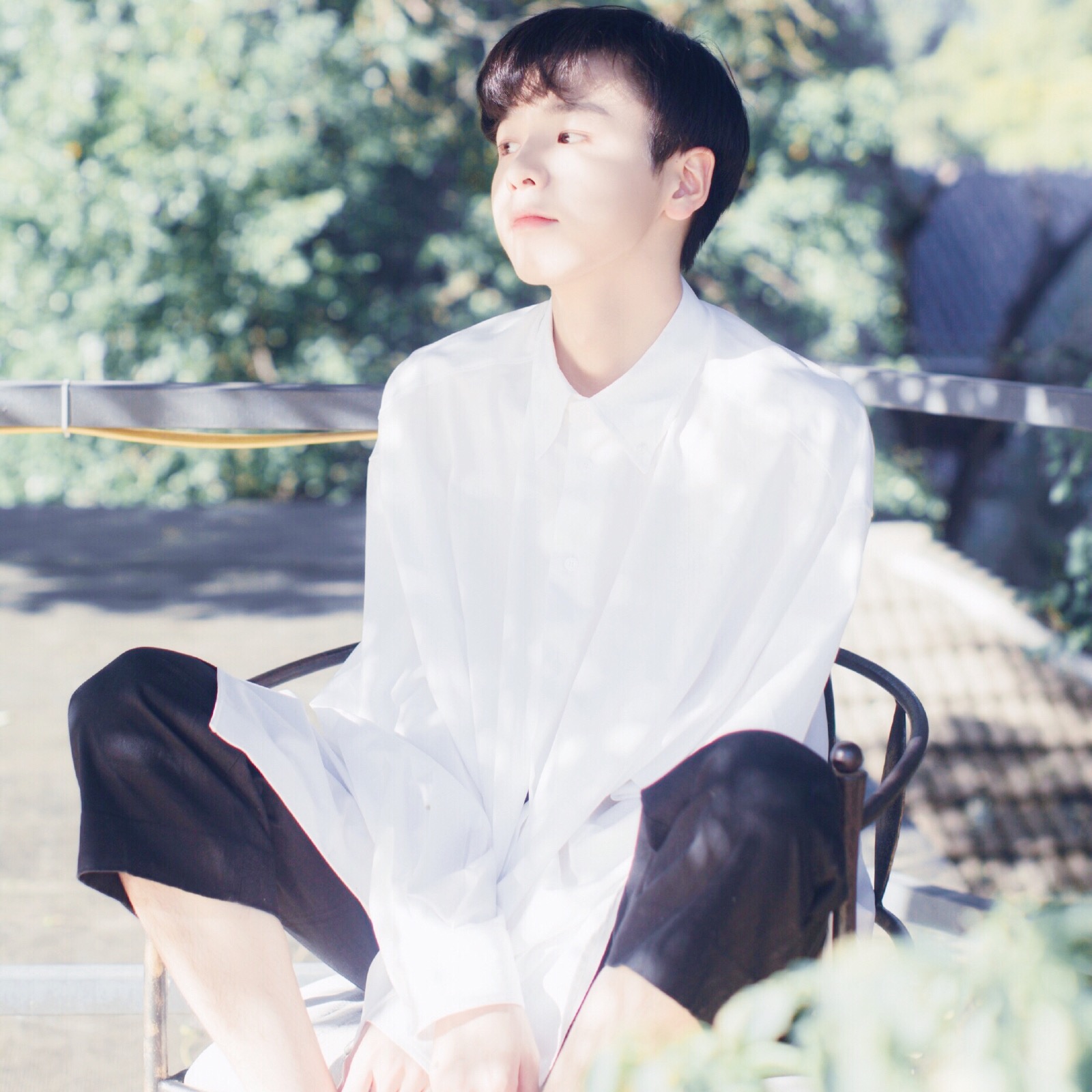 喜收藏 禁二传.