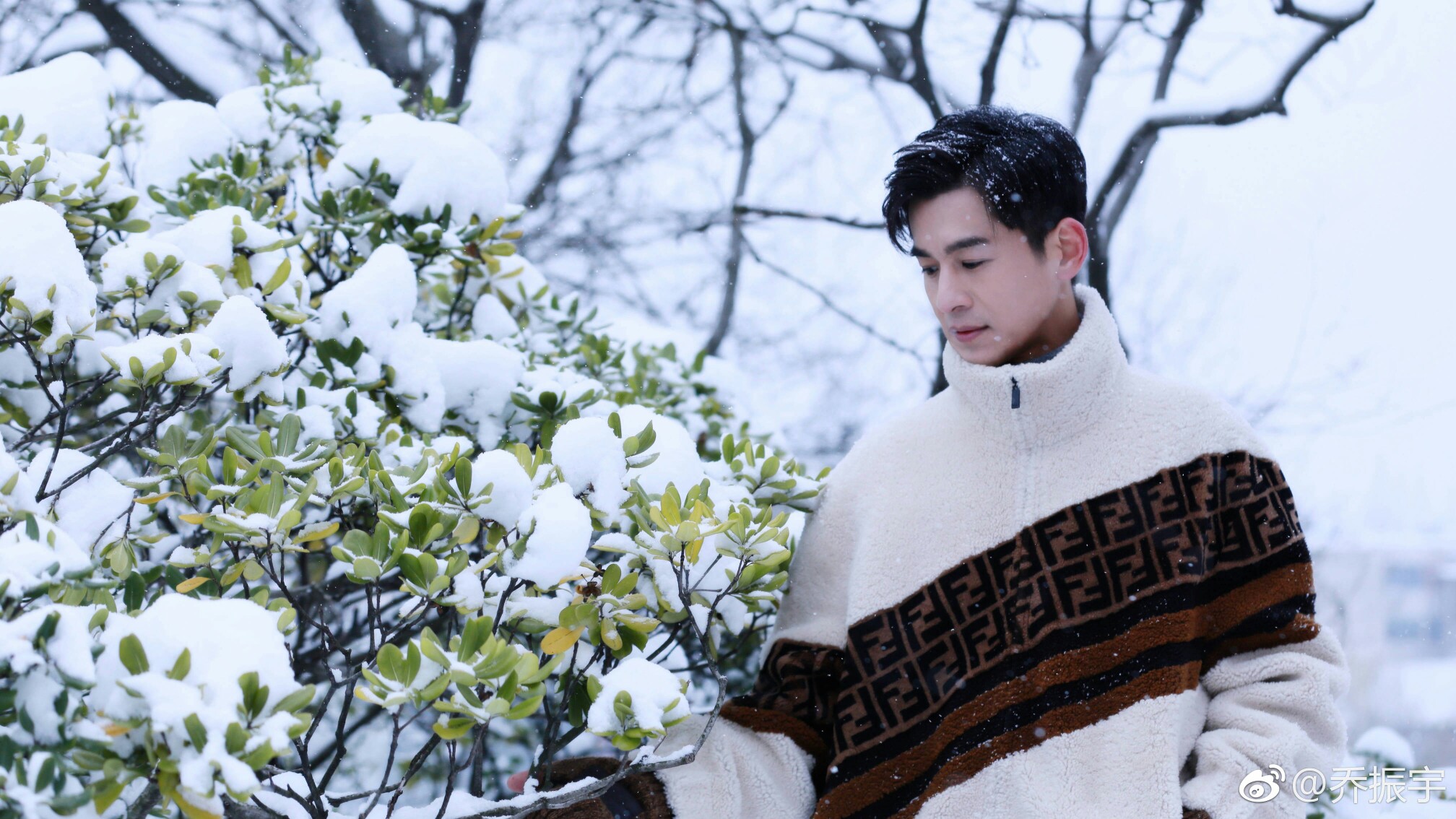乔振宇