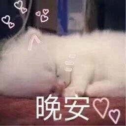 女生招桃花的表情包,超撩人