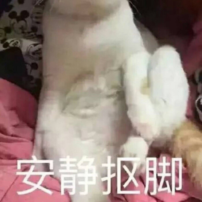 美好的一天从开始表情保存真情实感表情包的追星图片