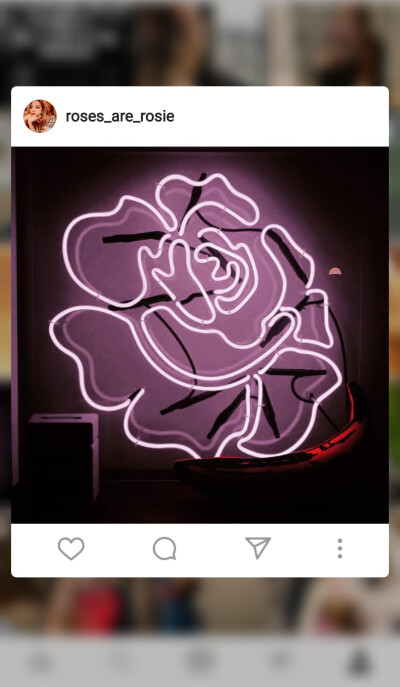 blackpink澳洲小玫瑰可软可魅的小仙女朴彩英rose 头像照片壁纸背景图