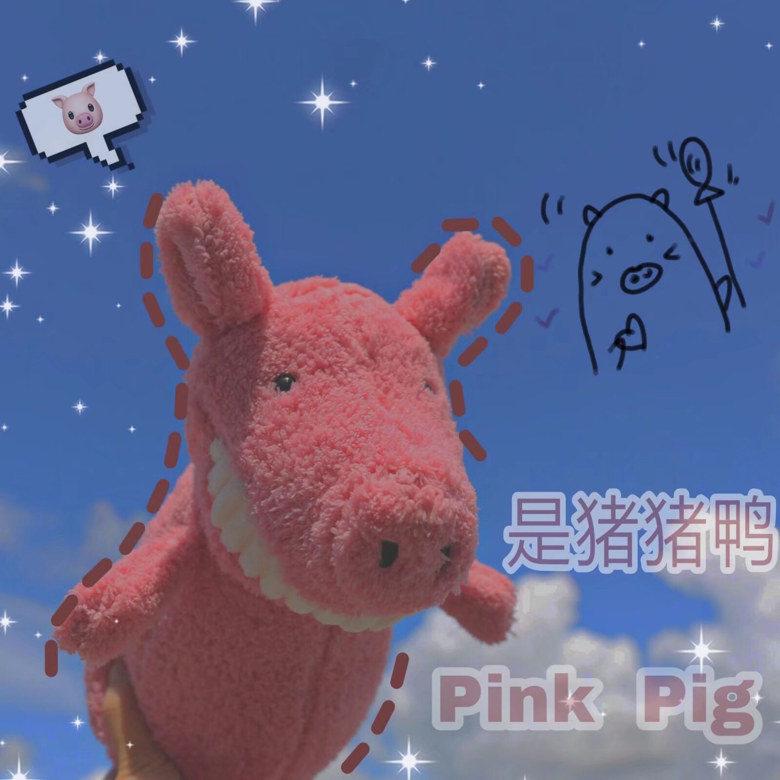 作者pink猪猪图片