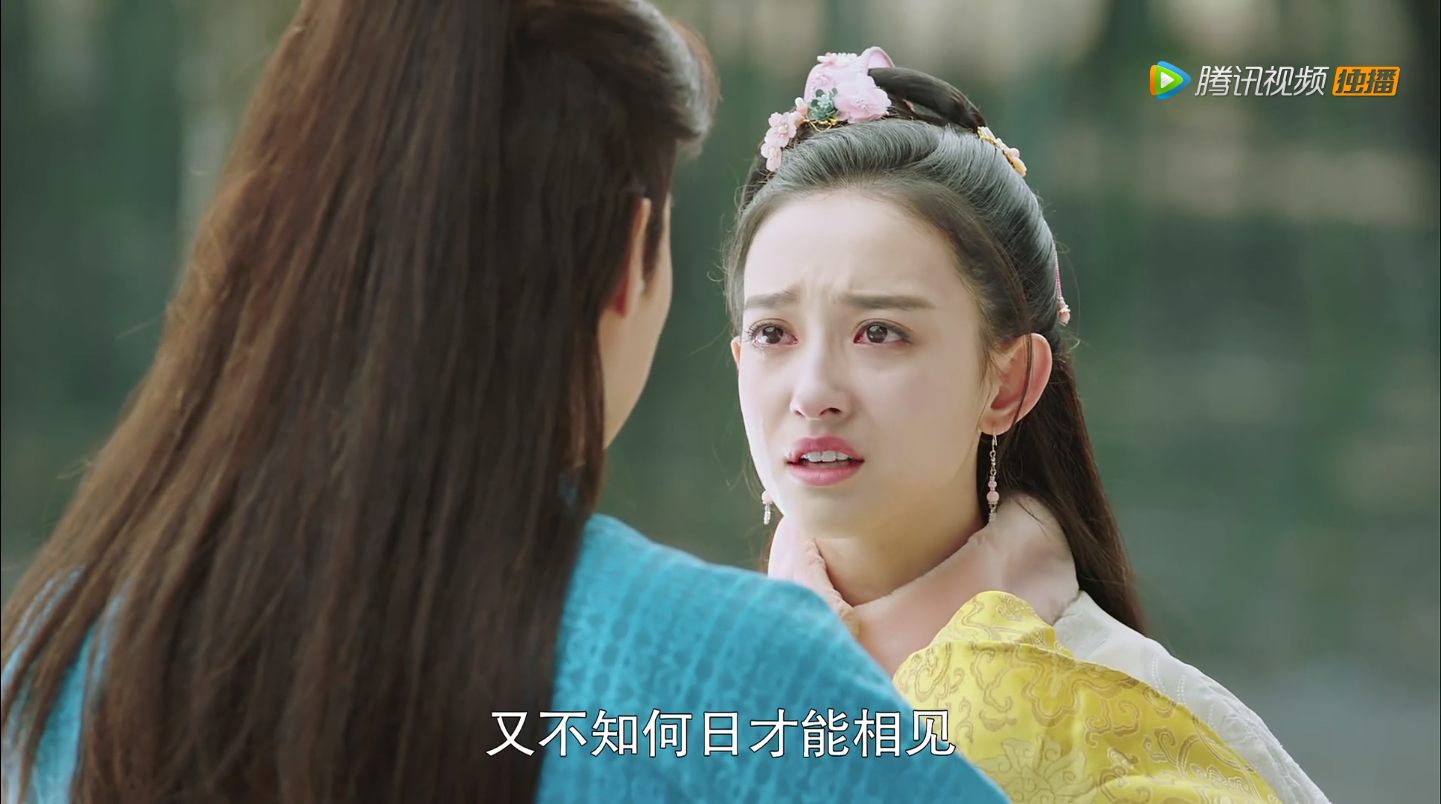 《花谢花飞花满天》花含羞