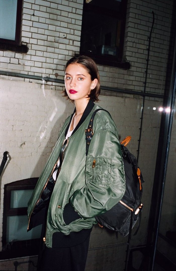 iris law