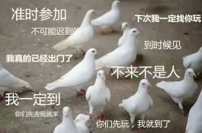 可爱 搞笑表情包
