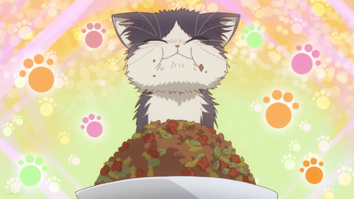 同居人是猫 阳